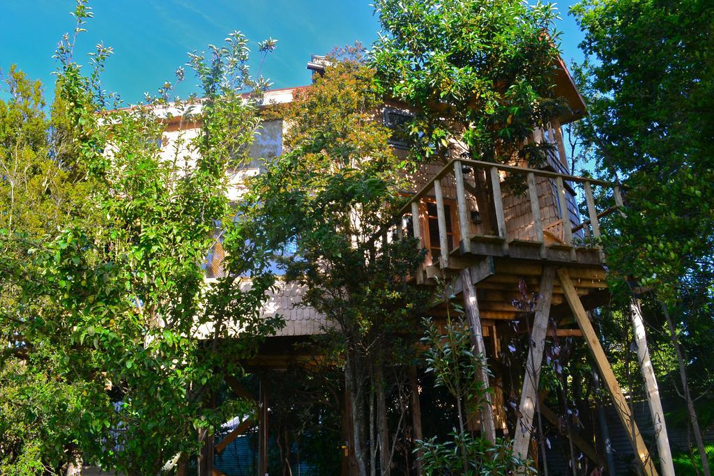 Villa La Casa Del Árbol De Chiloé Castro Habitación foto
