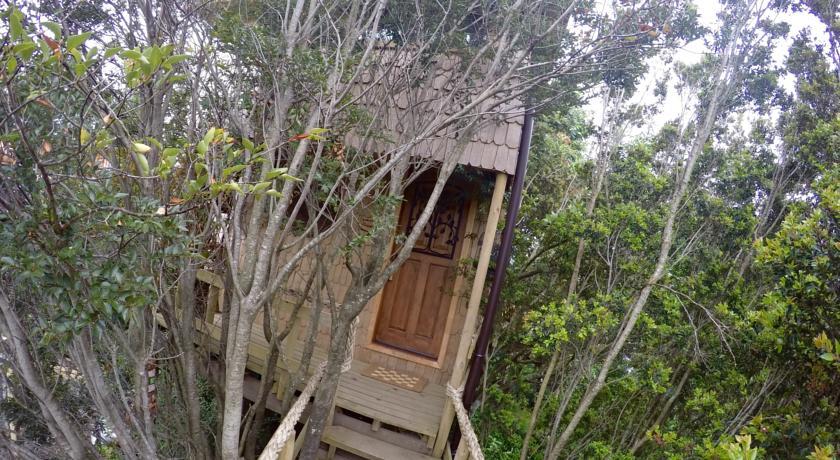 Villa La Casa Del Árbol De Chiloé Castro Habitación foto
